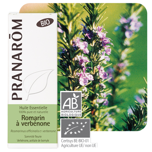 Romarin bio et Demeter – Rosmarinus officinalis