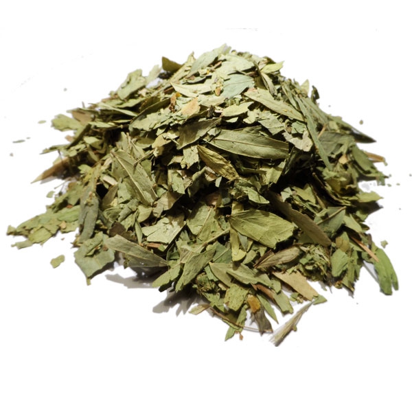 Séné Feuille – Tisane – maPharmaBIO – Pharmacie de l'Estoril